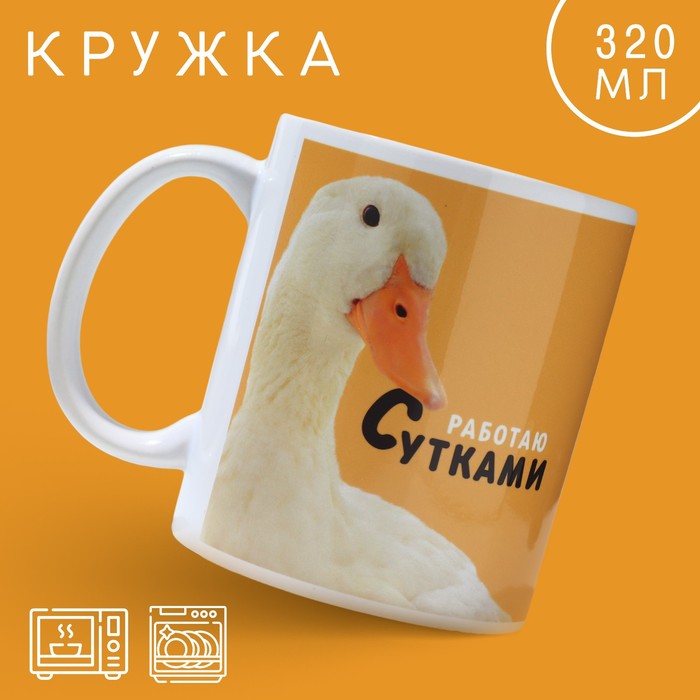 0t-00013583